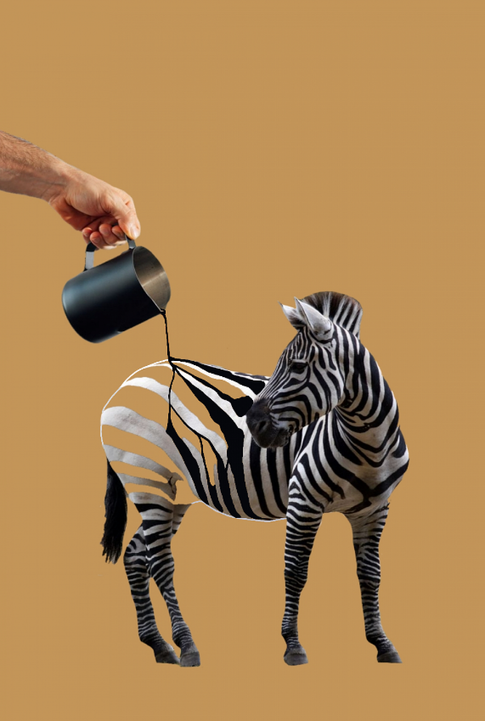 Diseño hecho en Photoshop